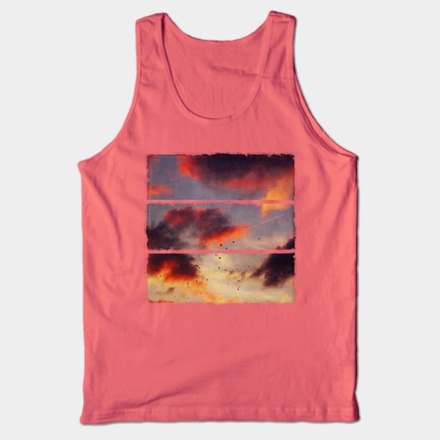 Evening Clouds and a Flock of Birds Tank Top by DyrkWyst